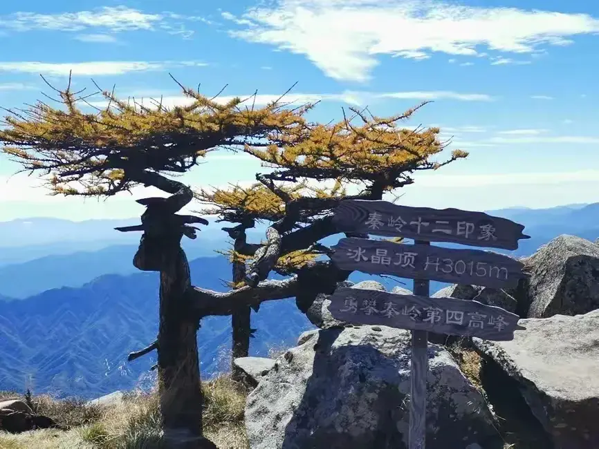 太惨了，西安情侣深夜冻死在山上，被找到时双眼圆睁 坚信人定胜天